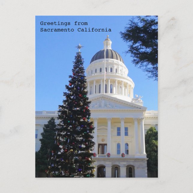 Christmas Tree at the Capitol Postcard (Front)