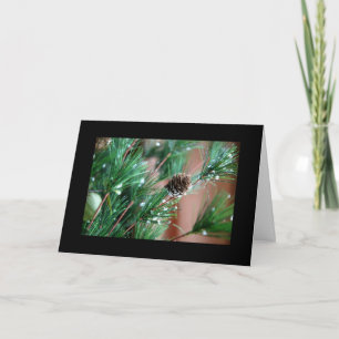 Christmas Tree Branch Photo Xmas Holiday Card