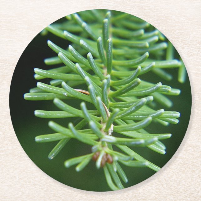 Christmas Tree Branch Round Paper Coaster (Front)