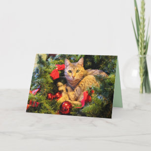 christmas tree cat greeting card