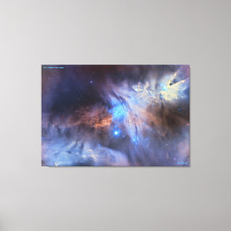 Christmas Tree Cluster - Distinguished Canvas Print