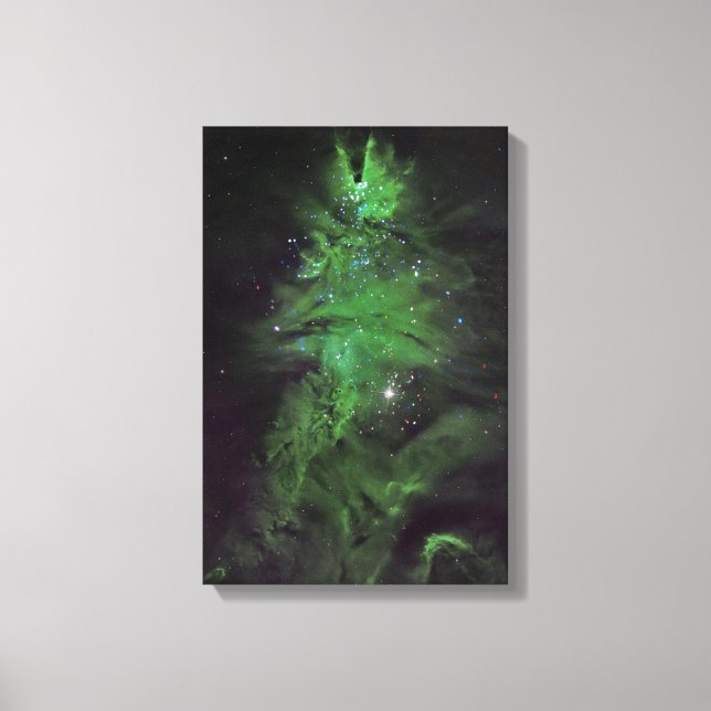Christmas Tree Cluster in Space | Canvas Print (Front)
