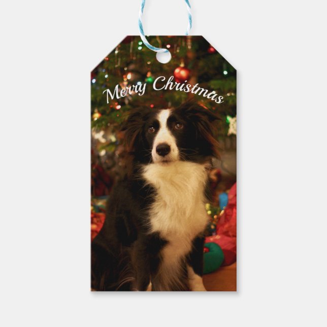 Christmas Tree Dog Gift Tags (Front)
