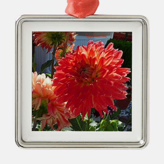 Christmas Tree Flora Ornament (Front)