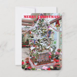 Christmas Tree [Greeting Card]