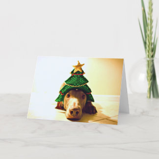 Christmas Tree Head Holiday Card