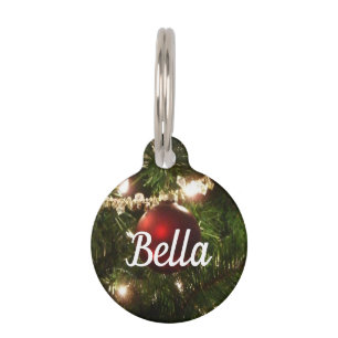 Christmas Tree I Holiday Pretty Green and Red Pet Tag