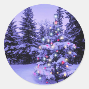 Christmas Tree in the Forest Classic Round Sticker