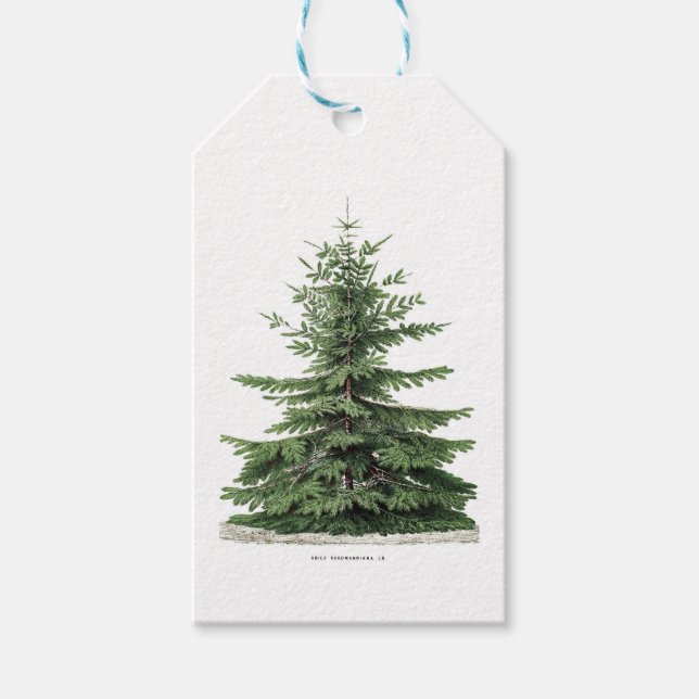 Christmas Tree Pinecones Botanical Gift Tags (Front)