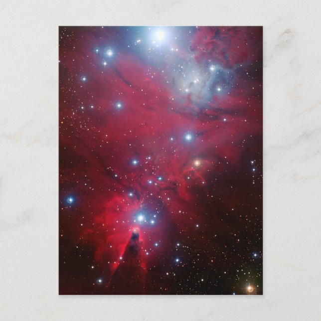Christmas Tree Star Cluster Holiday Postcard (Front)