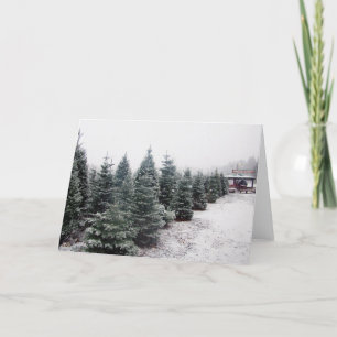 Christmas Trees Card