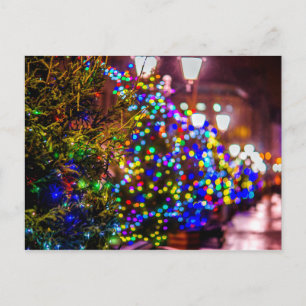 Christmas Trees In The Street Postcard
