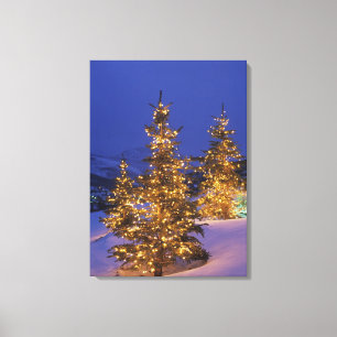 Christmas trees, Park City, Wastch Mountains, 2 Canvas Print