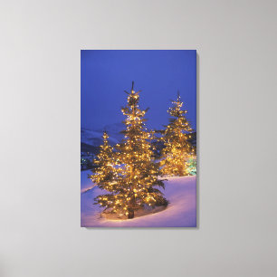 Christmas trees, Park City, Wastch Mountains, 2 Canvas Print