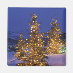 Christmas trees, Park City, Wastch Mountains, 2 Magnet