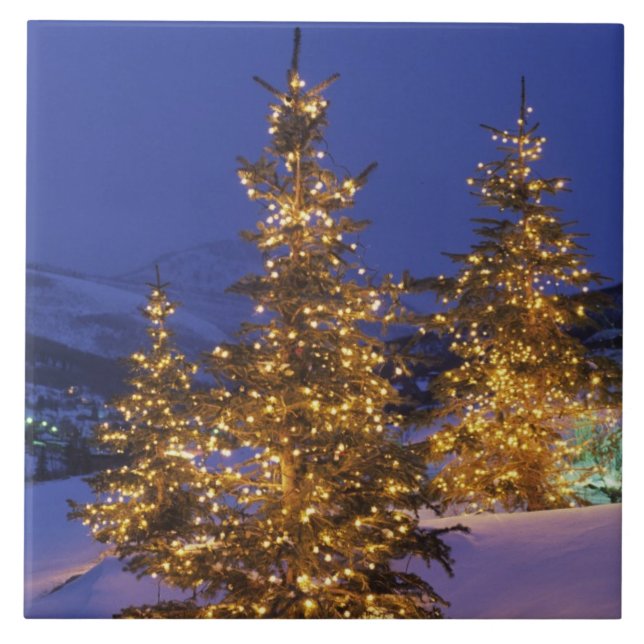 Christmas trees, Park City, Wastch Mountains, 2 Tile (Front)