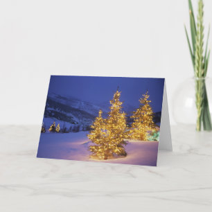 Christmas trees, Park City, Wastch Mountains, Holiday Card