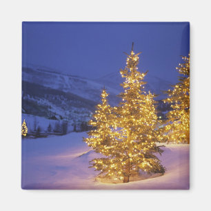 Christmas trees, Park City, Wastch Mountains, Magnet