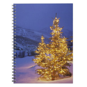 Christmas trees, Park City, Wastch Mountains, Spiral Notebook