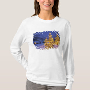 Christmas trees, Park City, Wastch Mountains, T-Shirt