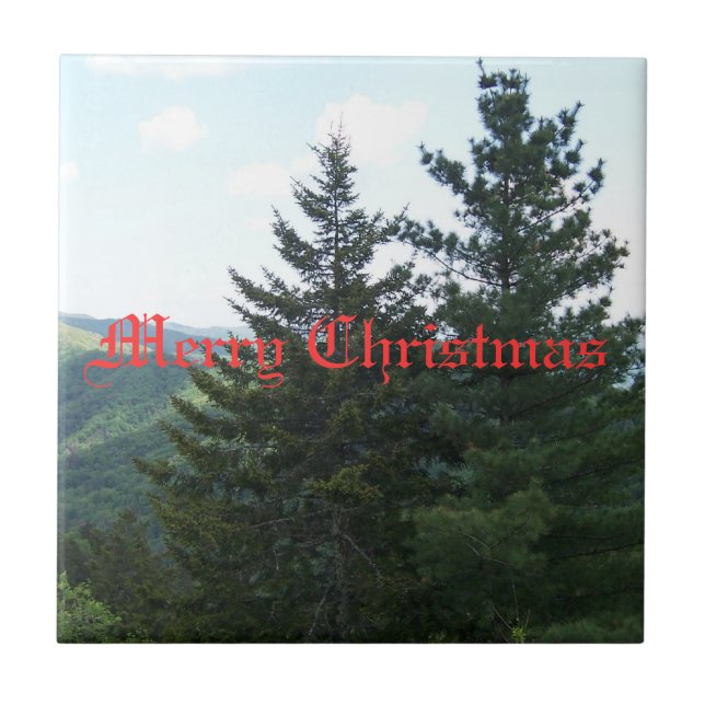 Christmas Trivet (Front)