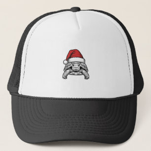 Christmas Turtle Santa Hat Vintage Engraving Desig