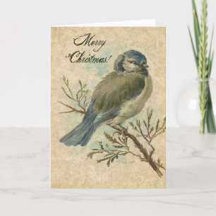 Christmas, Vintage Bluetit Holiday Card