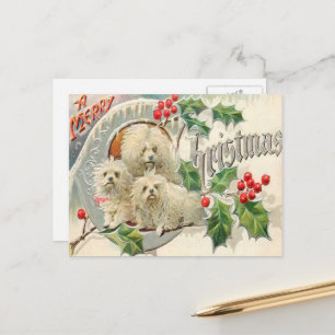 Christmas Vintage dogs Holiday Postcard