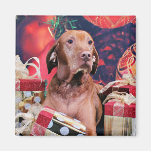 Christmas - Vizsla - Budda Magnet