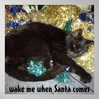 CHRISTMAS WAKE ME KITTY POSTER