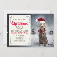Christmas Weimaraner Dog