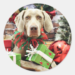 Christmas - Weimaraner - Lucy Classic Round Sticker