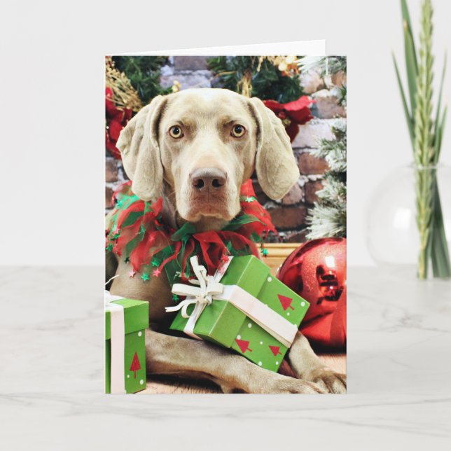 Christmas - Weimaraner - Lucy Holiday Card (Front)