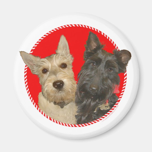 Christmas Wheaten & Black Scotties Magnet (Front)