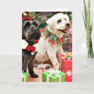 Christmas - Wheaten Skipper - Schnauzer X Bentley Holiday Card