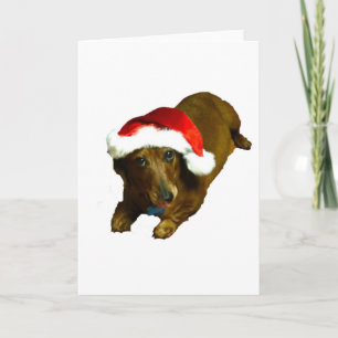 Christmas Wienerdog Holiday Card
