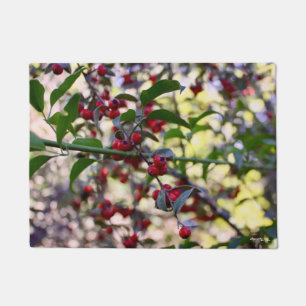 Christmas/Winter Door Mat