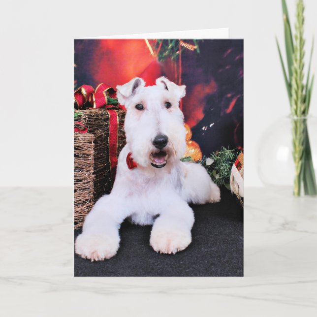 Christmas - Wire Fox Terrier - Dexter Holiday Card (Front)