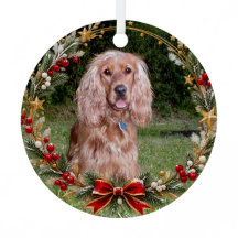 Christmas Wreath Custom Pet Photo