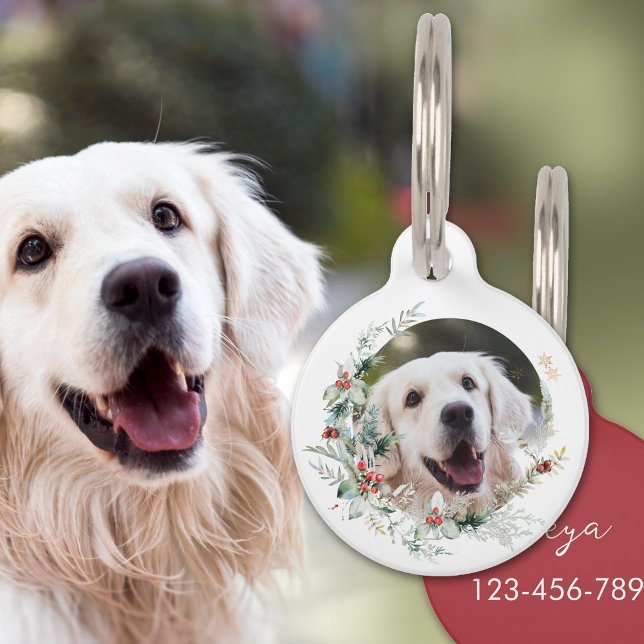 Christmas wreath pet photo pet tag (Creator Uploaded)