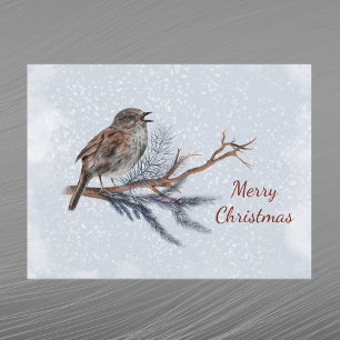 Christmas Wren Pine Boughs Watercolor Holiday Postcard
