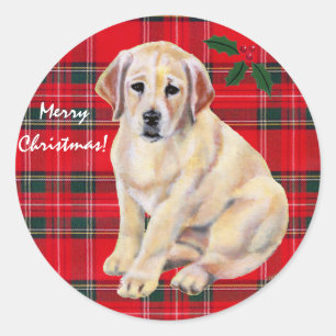 Christmas Yellow Labrador Puppy Tartan Classic Round Sticker
