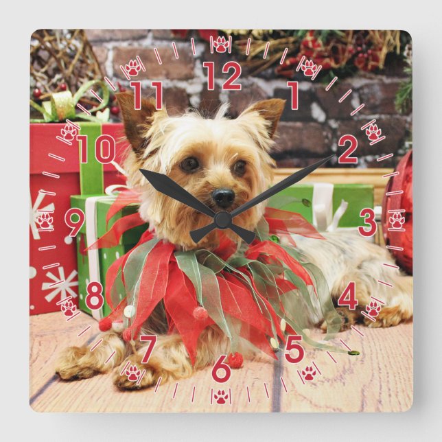 Christmas - Yorkie - Kinsey Square Wall Clock (Front)