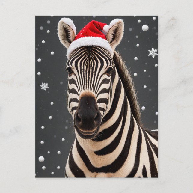 Christmas Zebra Postcard (Front)