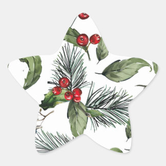 Christmass star sticker