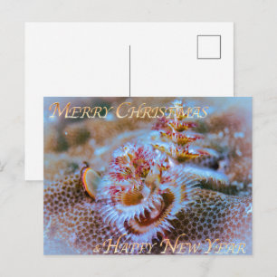 Christmass tree worm postcard