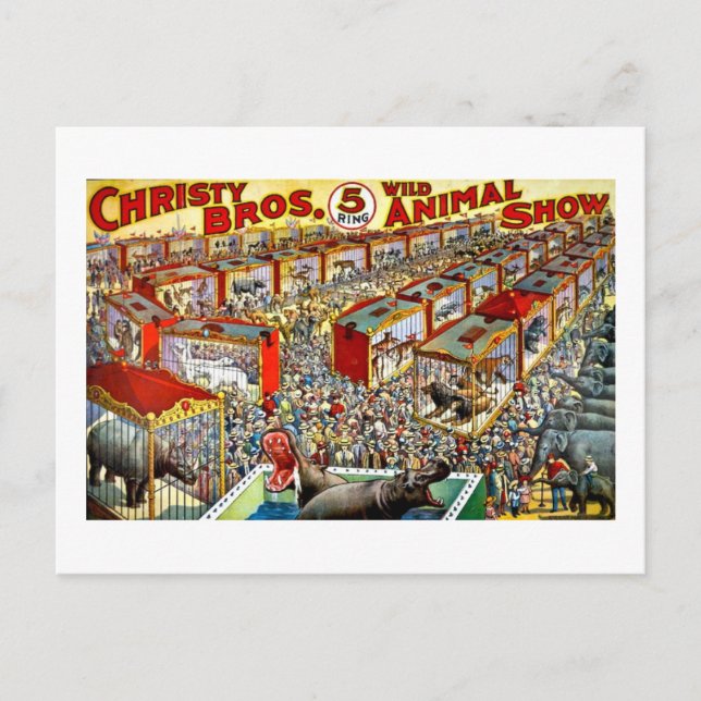 Christy's Wild Animal Show - Vintage Postcard (Front)