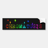 chromatosis : rainbow birds :