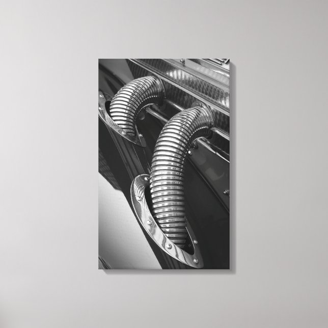 Chrome Hoses Canvas Print (Front)