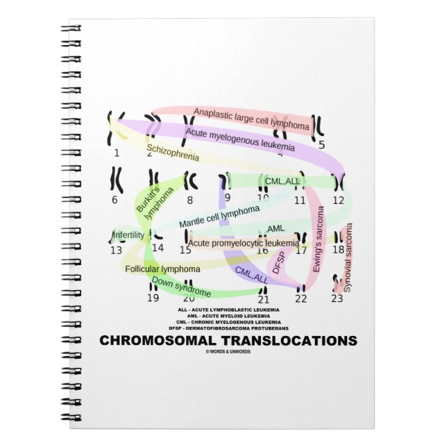 Chromosomal Translocations (Karyogram) Notebook (Front)